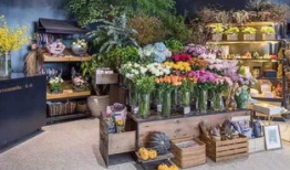 花店吃瓜视频爆料大全集,揭秘娱乐圈幕后风云